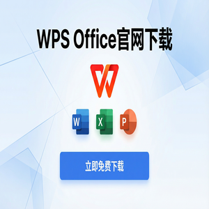 WPS Office问责管理生态